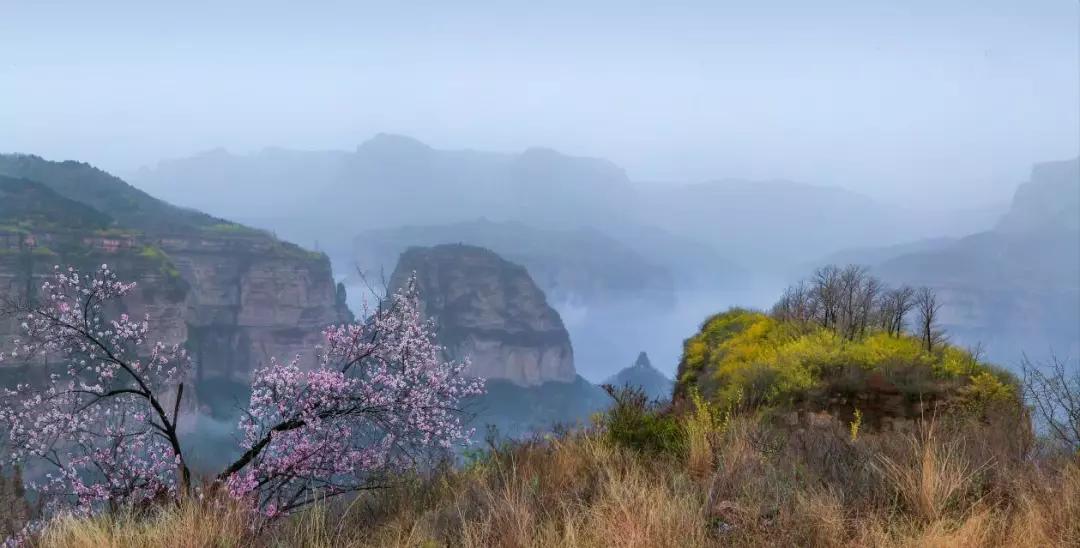 春風十里，醉美的風景在這里......