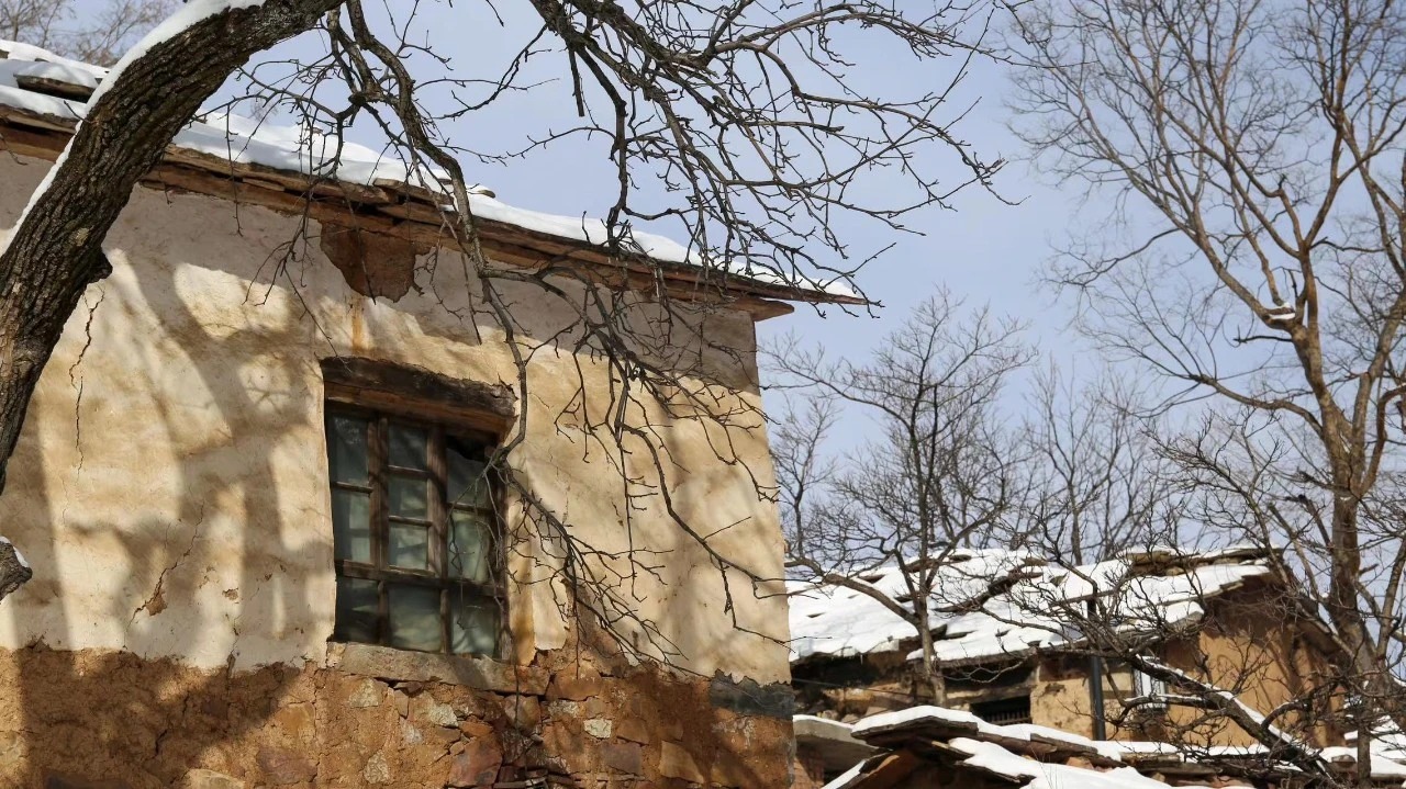 微信图片_2025-11-26_084210_273_看图王 微信图片_2025-11-26_084210_273_看图王