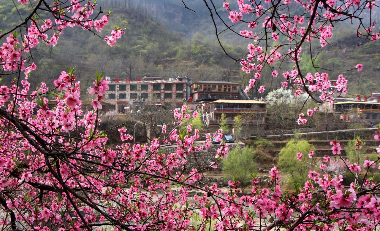 微信图片_2026-04-21_101636_703