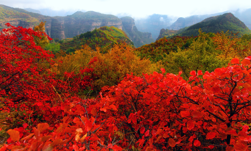 春花、秋月、夏日、冬雪 一起来欣赏太行大峡谷的四季！