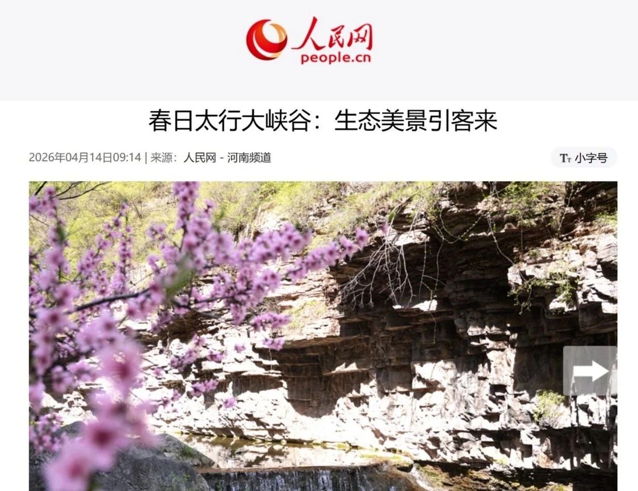 微信图片_2026-04-21_102608_362