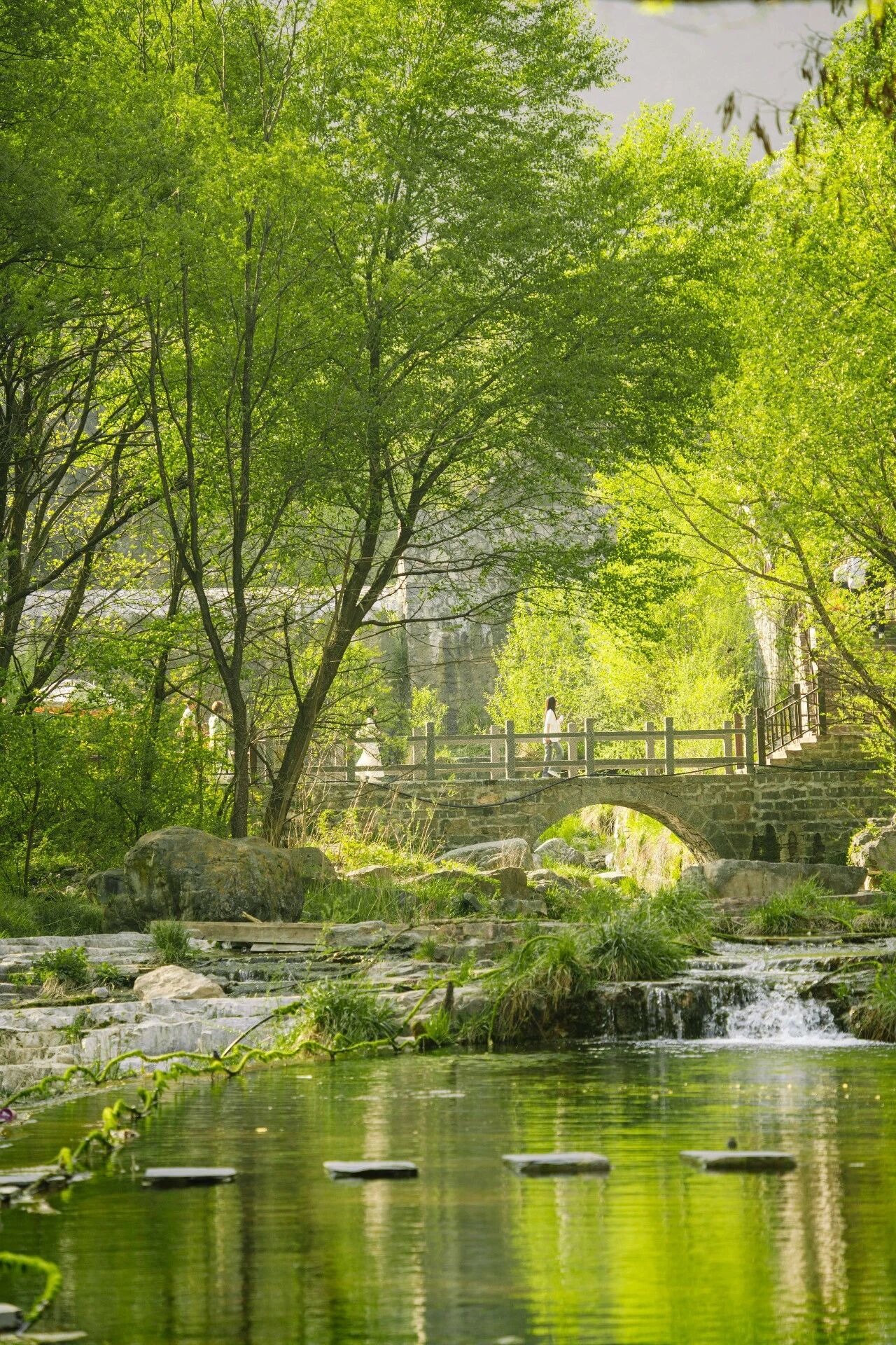 微信图片_2026-04-21_101624_008