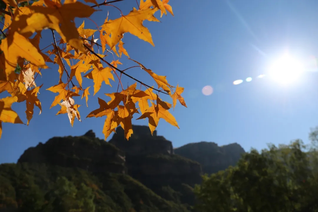 与秋色渲染的太行大峡谷，来一次最美好的相遇！