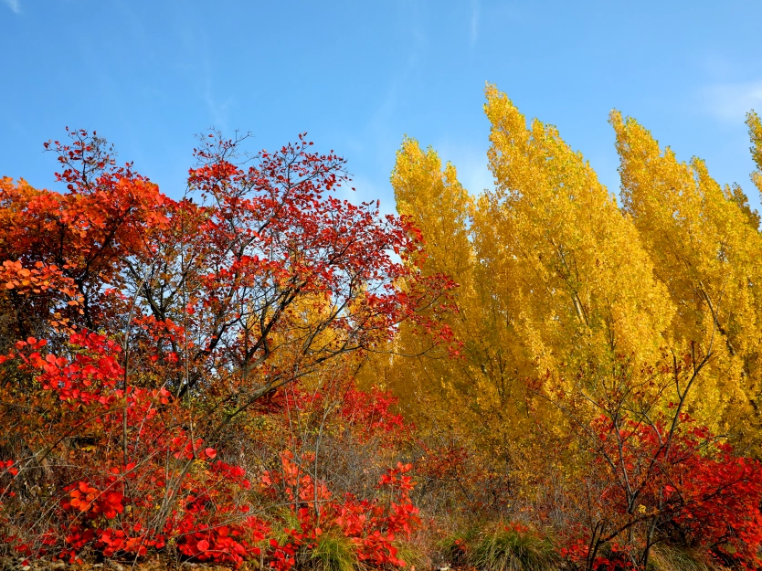 太行大峡谷 | 十月再见，十一月你好！