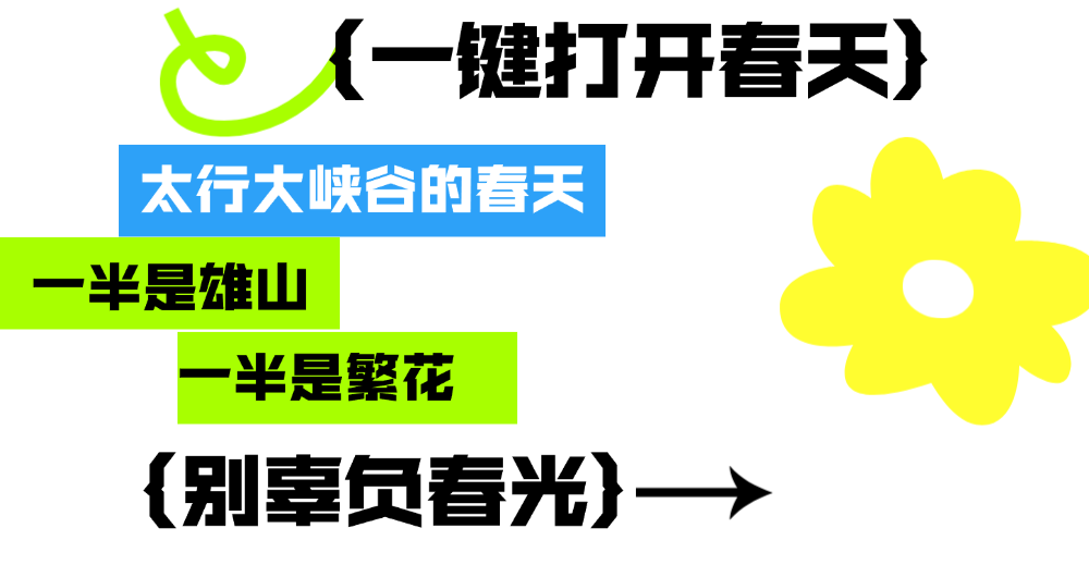 微信图片_2026-04-21_102609_914