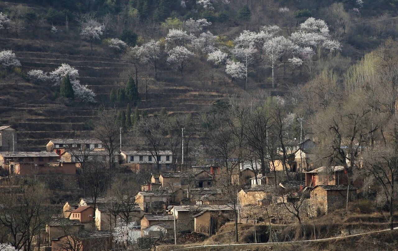 微信图片_2026-04-21_101633_290