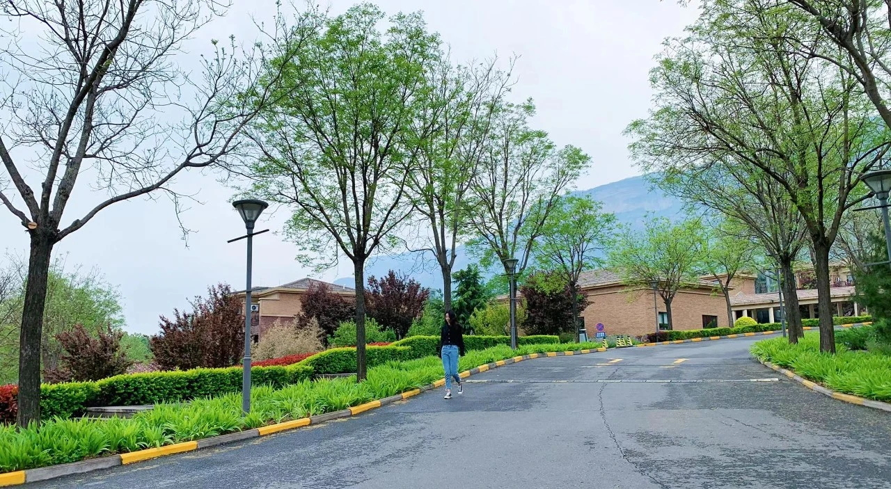 微信圖片_20250425084407_看圖王.web