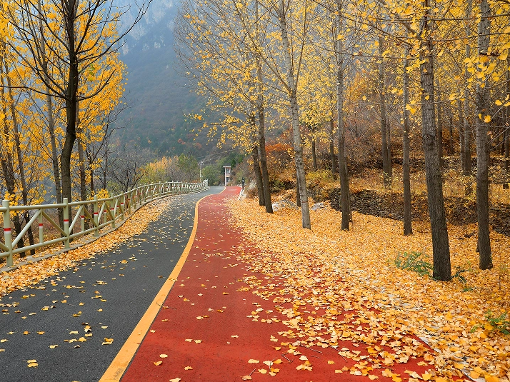 告别秋余温，拥抱冬初寒，添衣暖身心~
