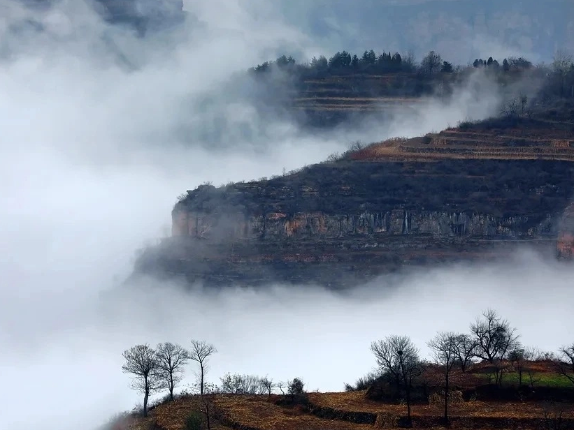 一夜凉风起，黄叶染初冬……
