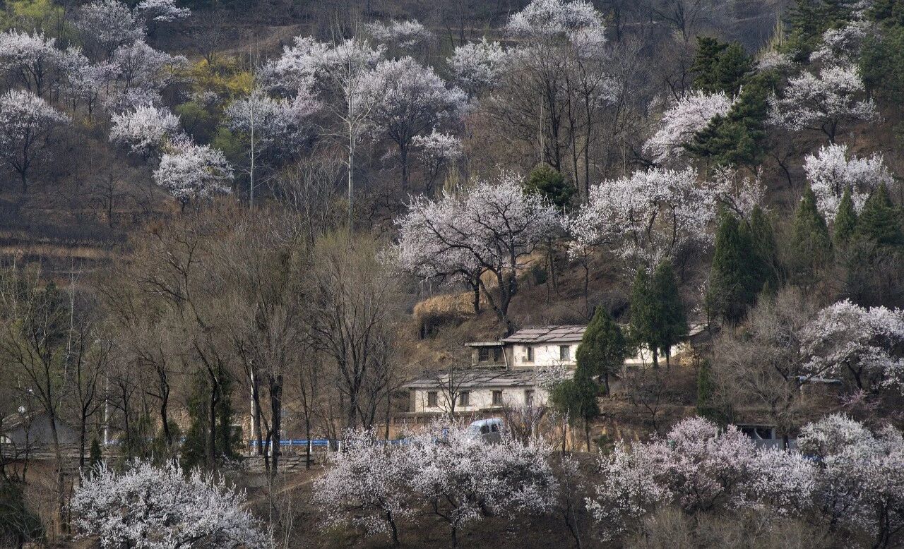 微信图片_2026-04-21_101634_875