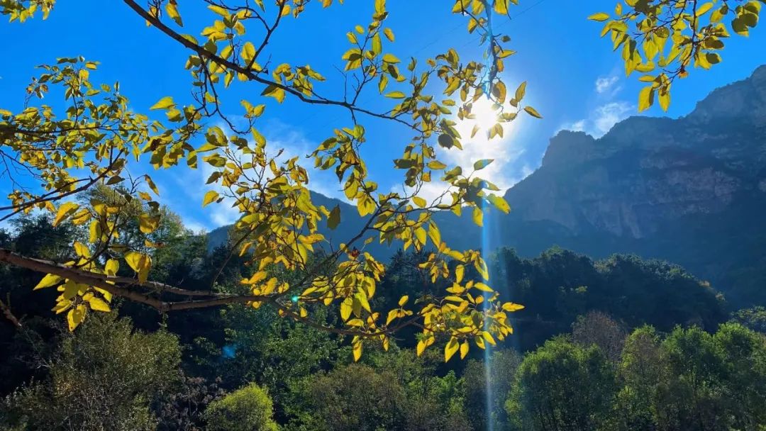 秋分|来太行大峡谷，邂逅浪漫唯美的五色之秋