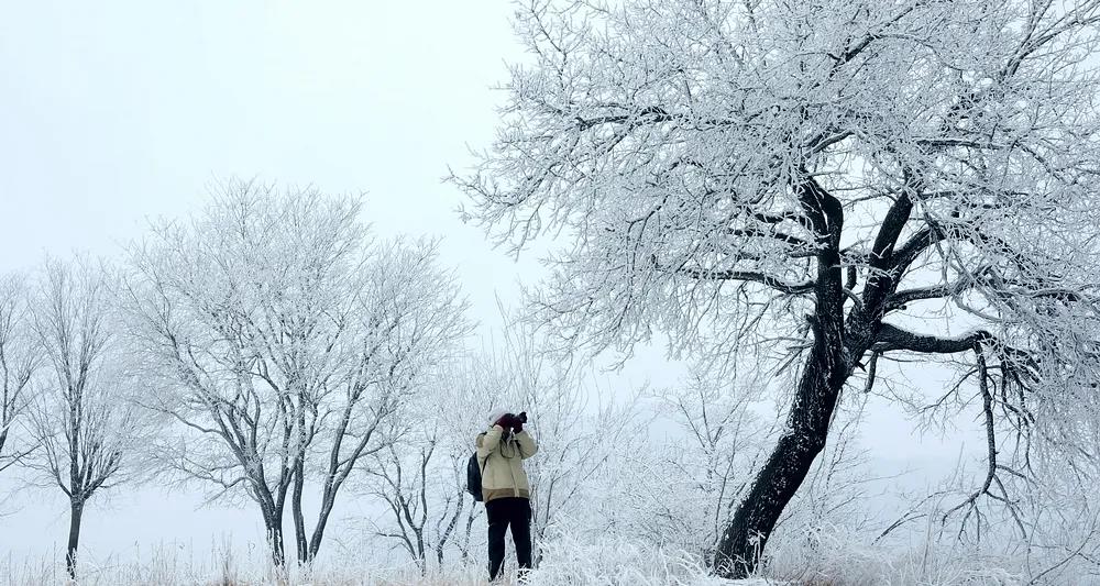 此刻的太行大峡谷不仅雪花纷飞，更有雾凇奇观