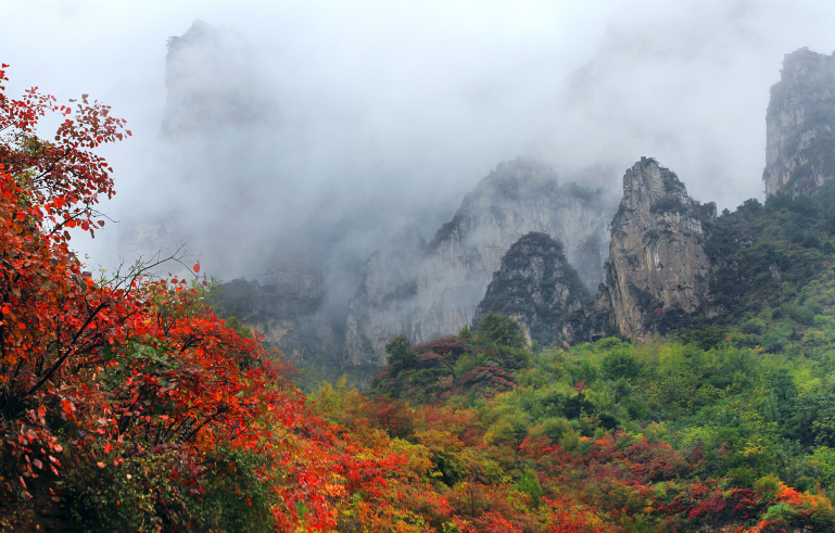 赏红叶、观云海，雨后的太行大峡谷美翻了！