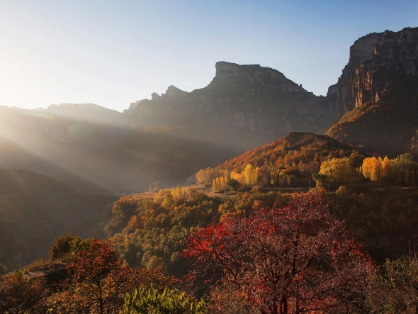色彩盛宴！太行大峡谷红叶惊艳了整个秋天~