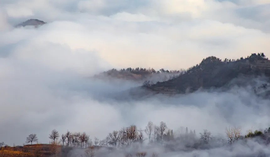 微信图片_2025-11-26_084154_113_看图王 微信图片_2025-11-26_084154_113_看图王