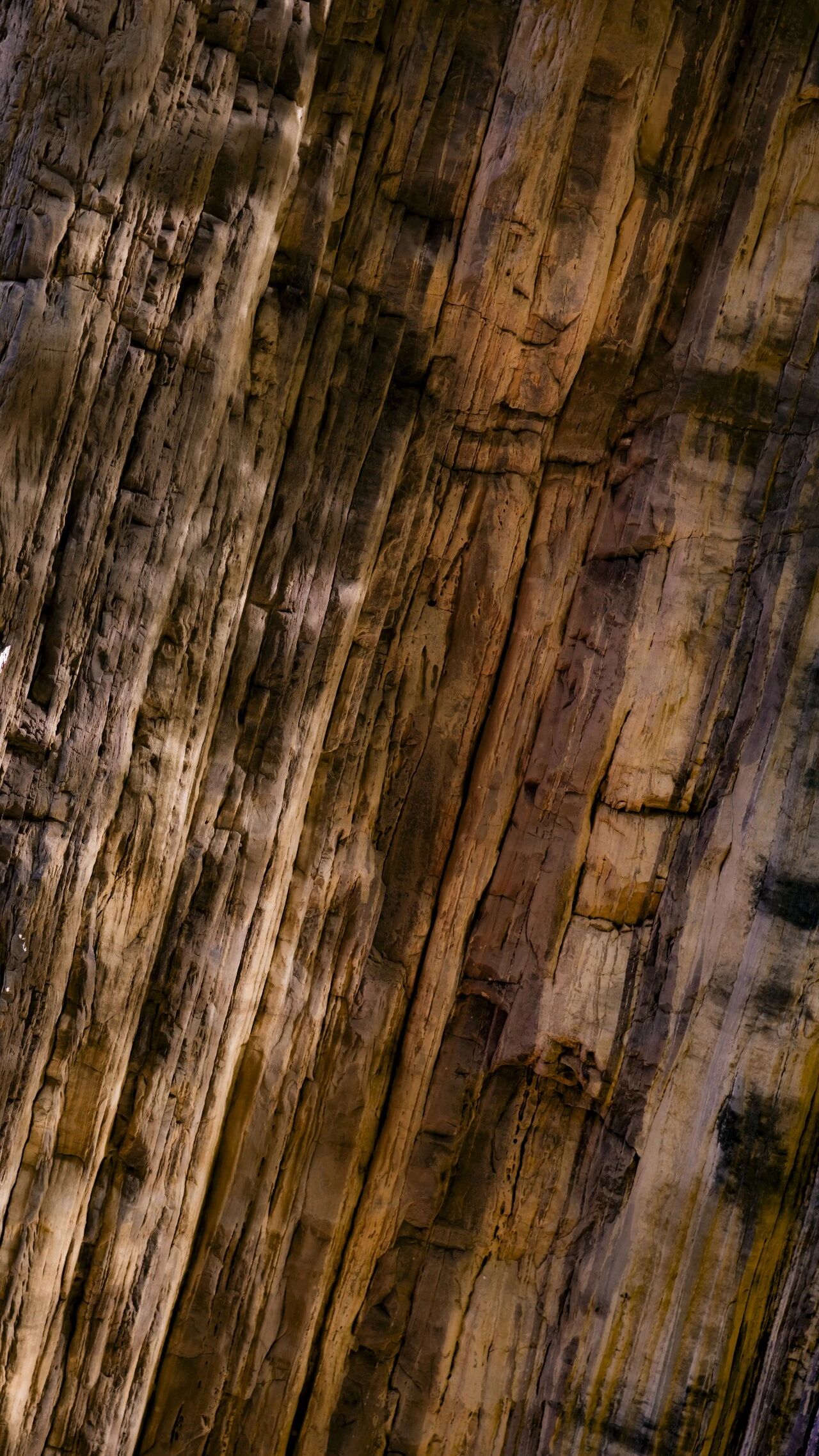 微信图片_2026-04-21_101612_870