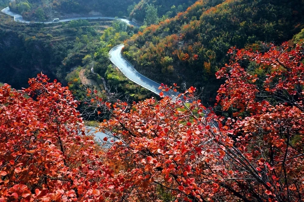 太行大峡谷景区防疫公告