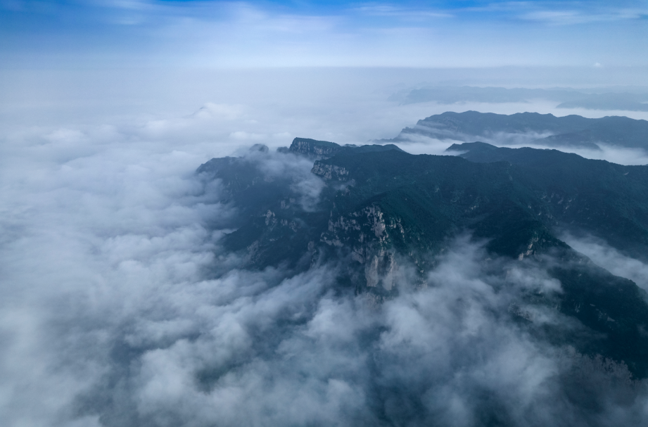 微信图片_2025-08-27_162815_978