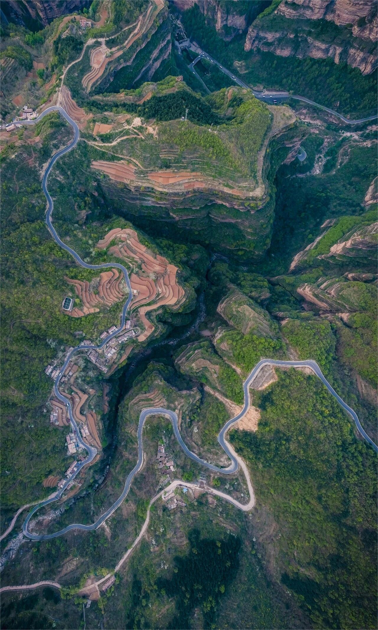 微信图片_2026-04-21_101608_142