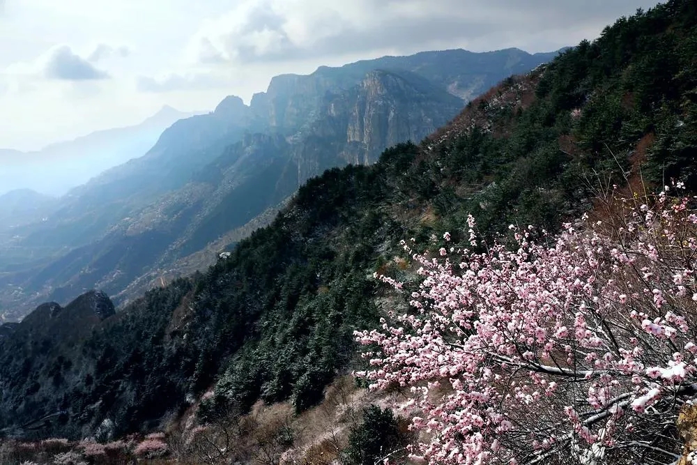 重磅好消息！太行大峡谷景区对河南游客实行门票半价了