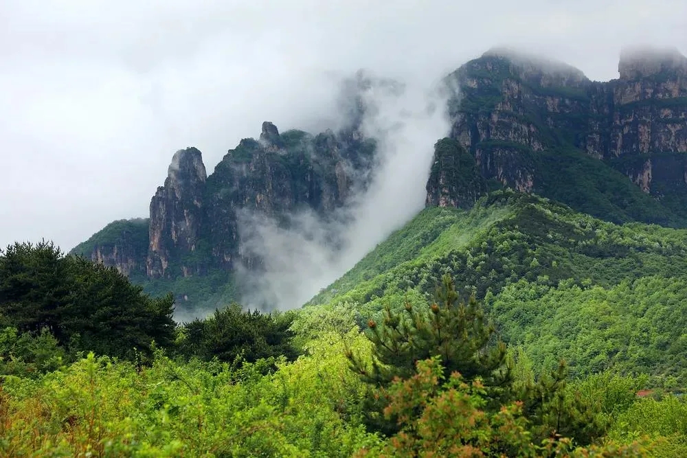 抓住機會，雨天更能偶遇云海！