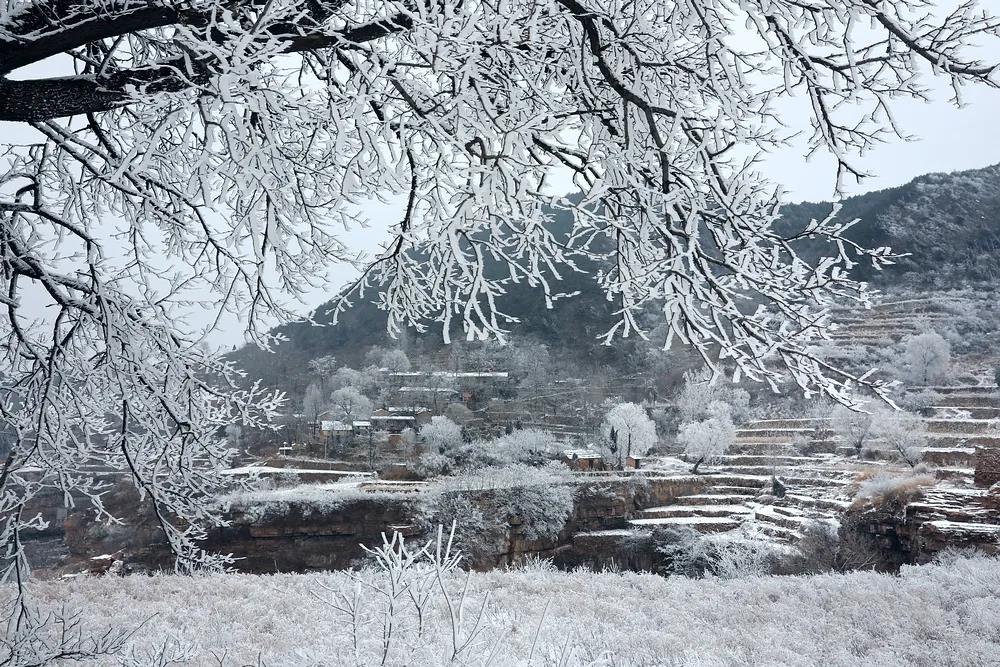 微信图片_20220121155106 微信图片_20220121155106