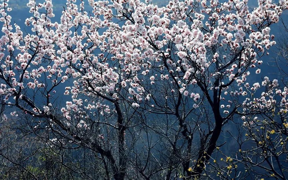 二月再见，三月你好！快到太行大峡谷来一场初春的相遇，关键还免门票