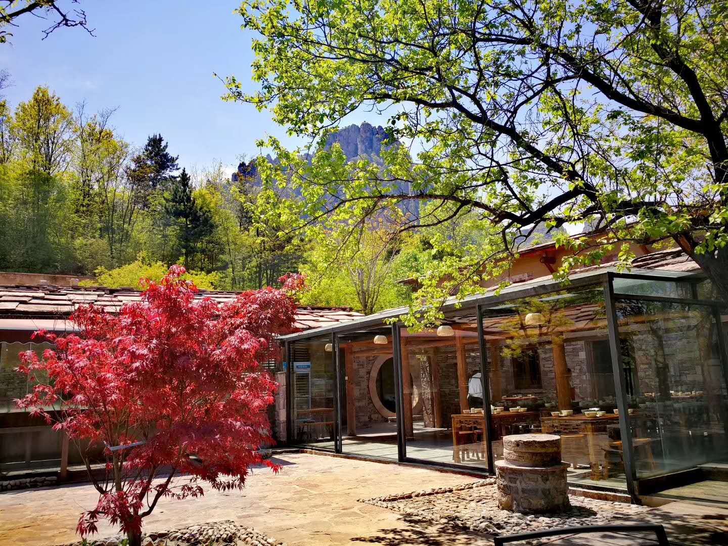 微信图片_20190701081257