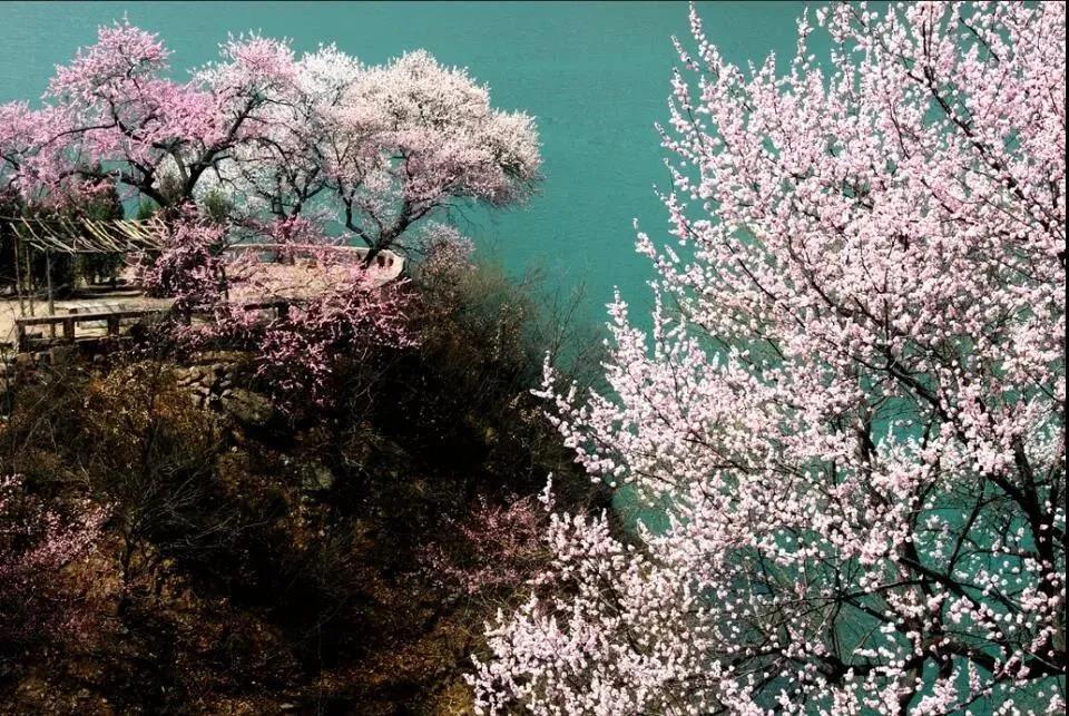 微信图片_20200308092710