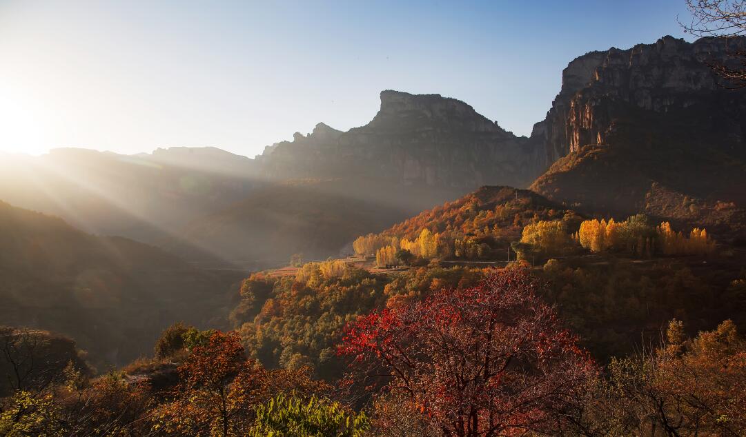 QQ截图20191015101353