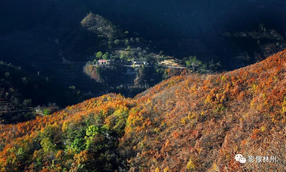 微信图片_20191119095918