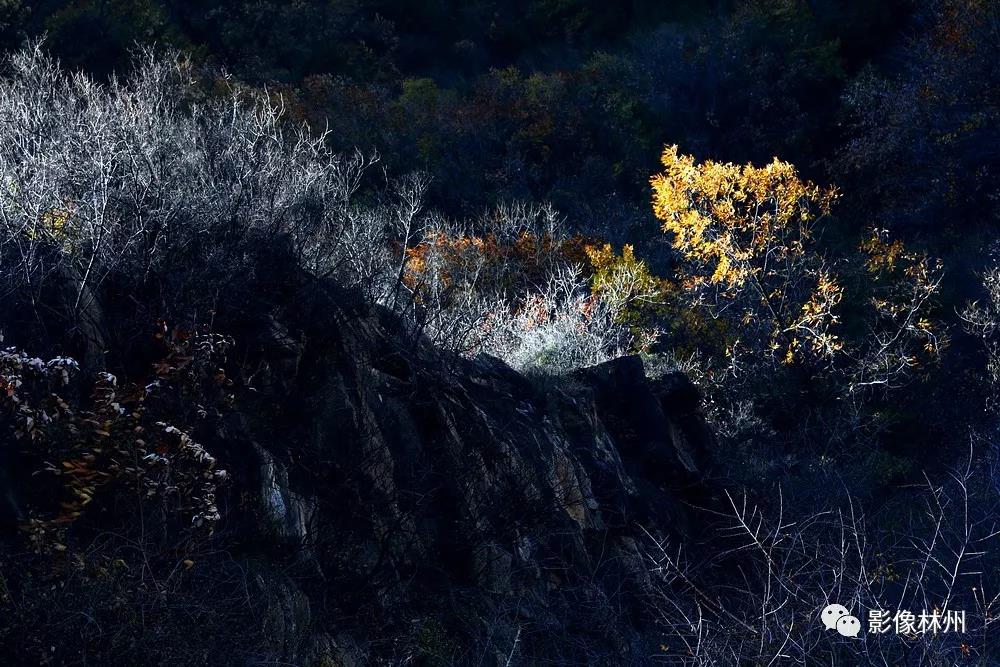 微信图片_20191114101532