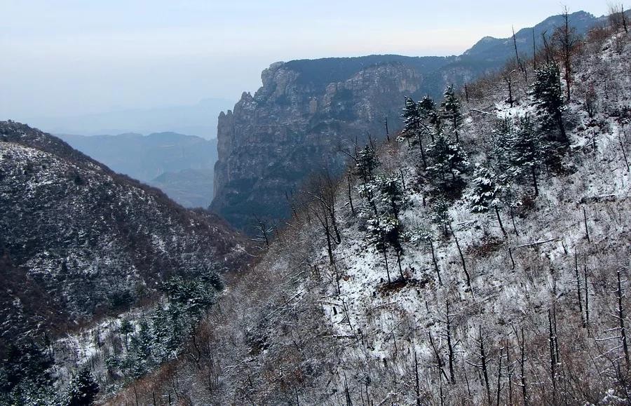 微信图片_20191216105247