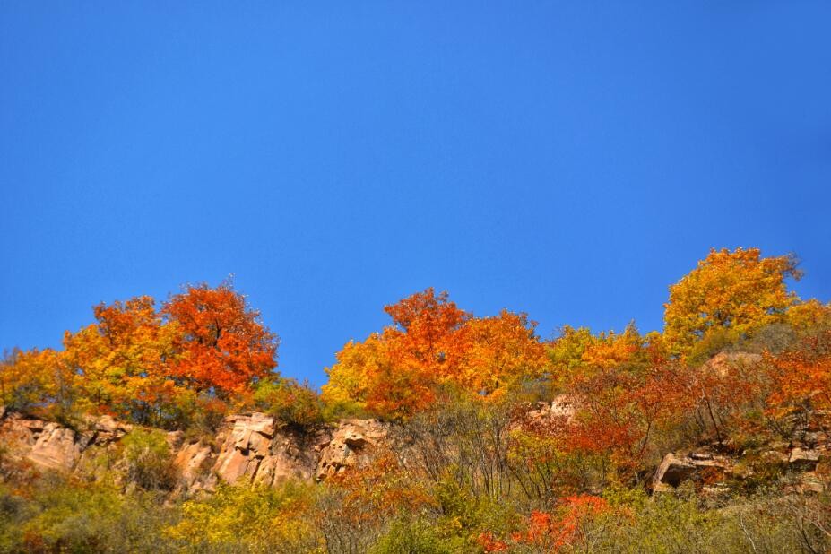 微信图片_20191028095414