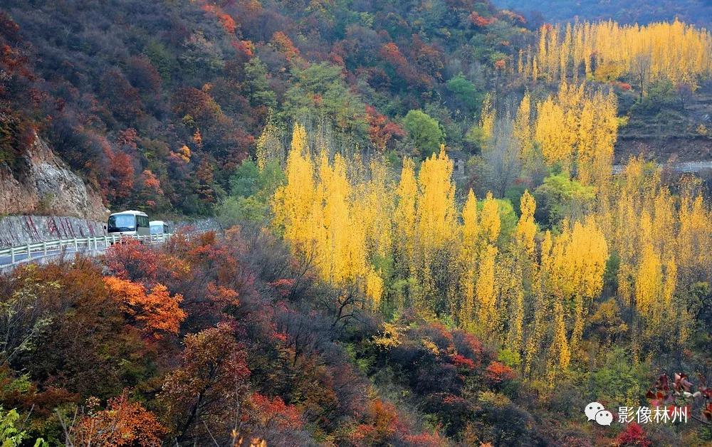 微信图片_20191107135800