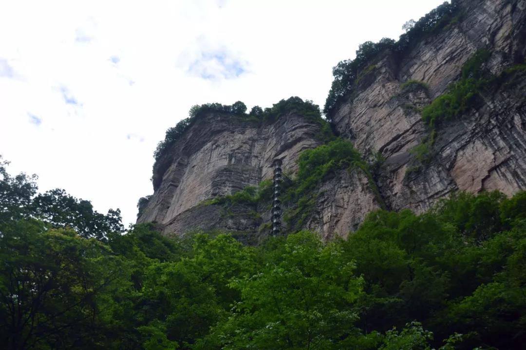 微信图片_20190617082122