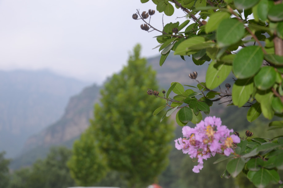 微信图片_20190806144830