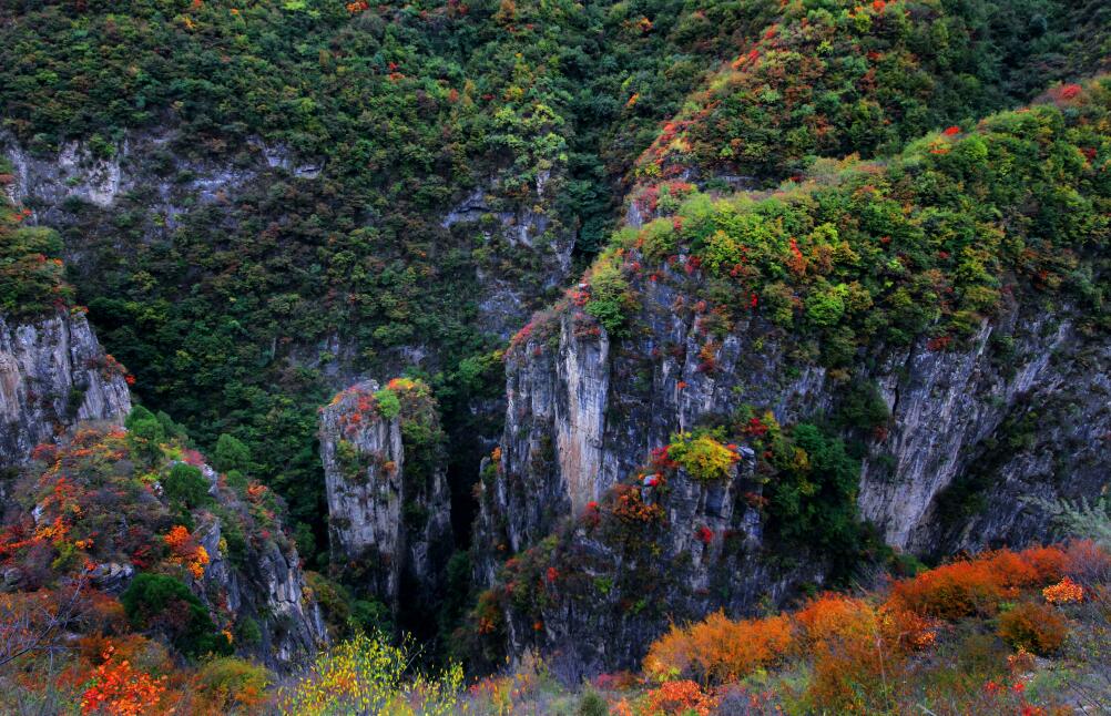 QQ截图20190927112337