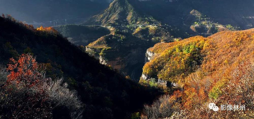 微信图片_20191119095923