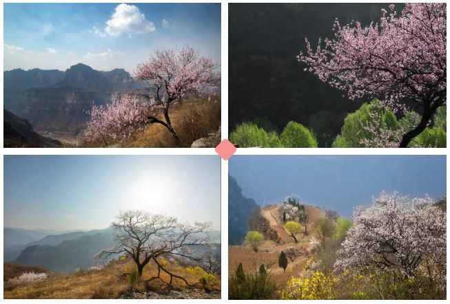 微信图片_20200308092308