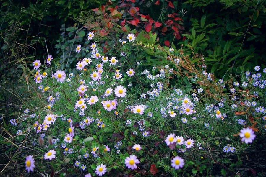 微信图片_20191028095421