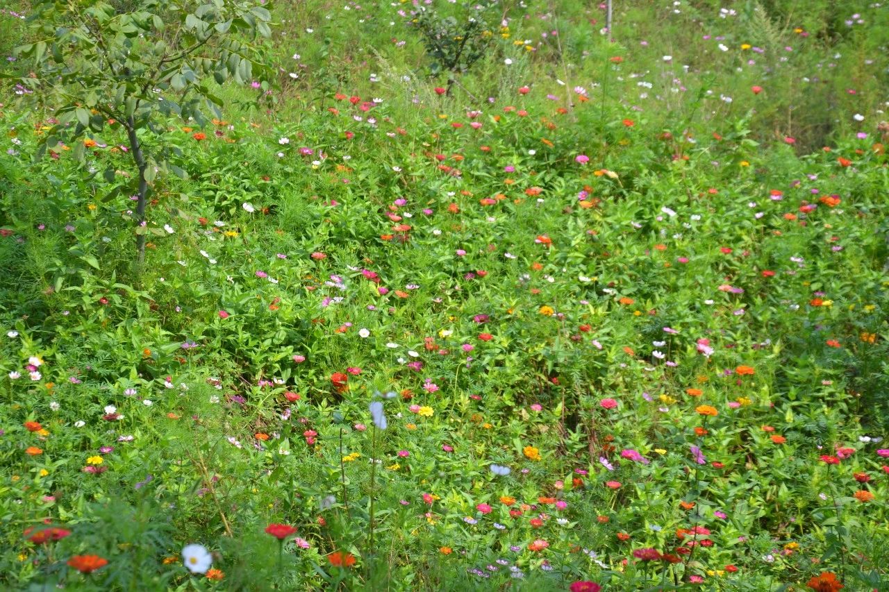 微信图片_20190927143309