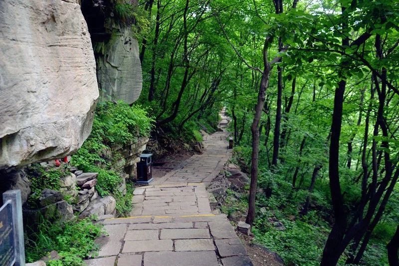 微信图片_20190930084541