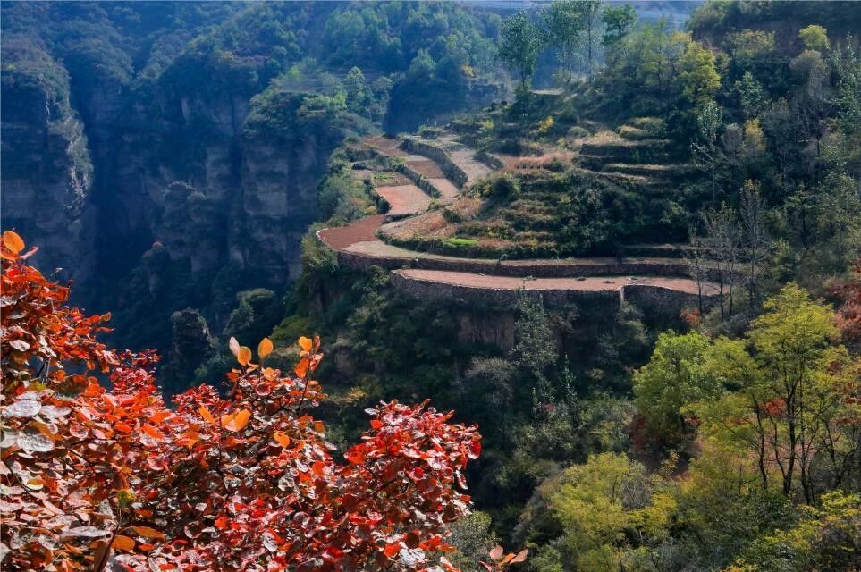 微信图片_20191015110902