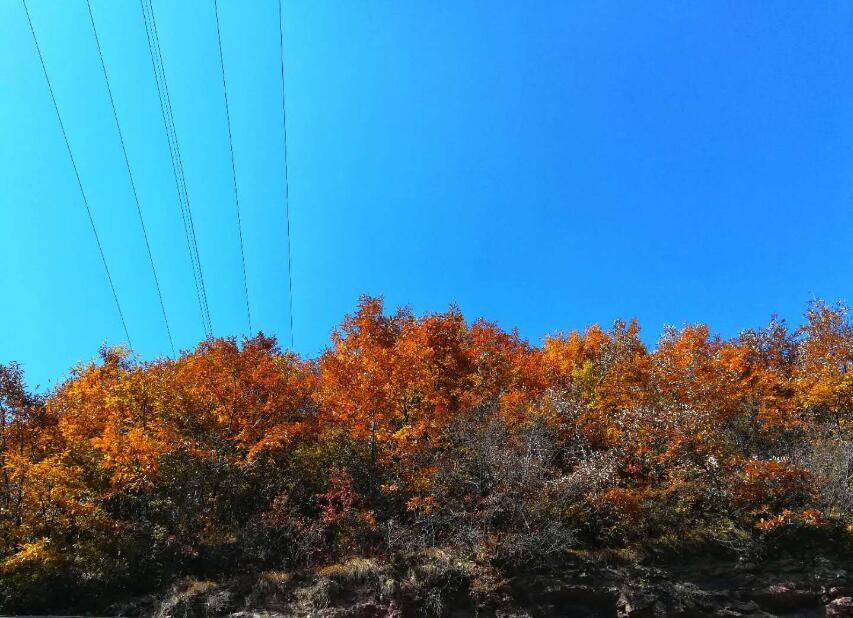 微信图片_20191028095410