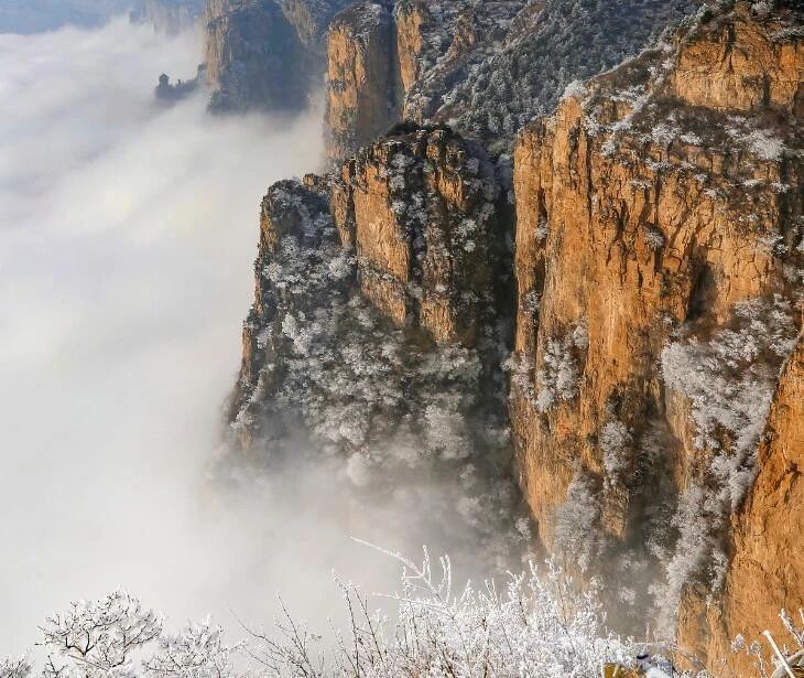 微信图片_20200109180733