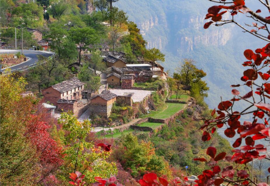 QQ截图20191107134419