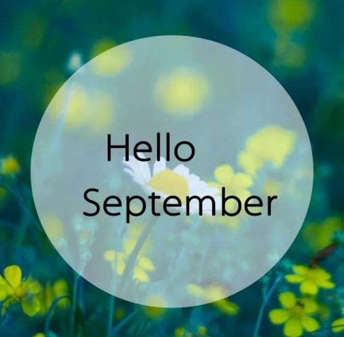 5b95eca042144a6bb5b87acb99f08480