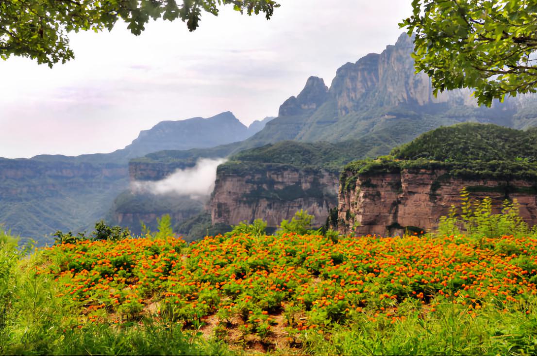 微信图片_20191127104644