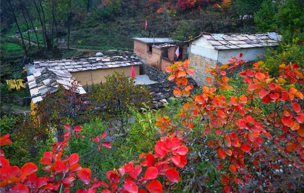 微信图片_20191015110918